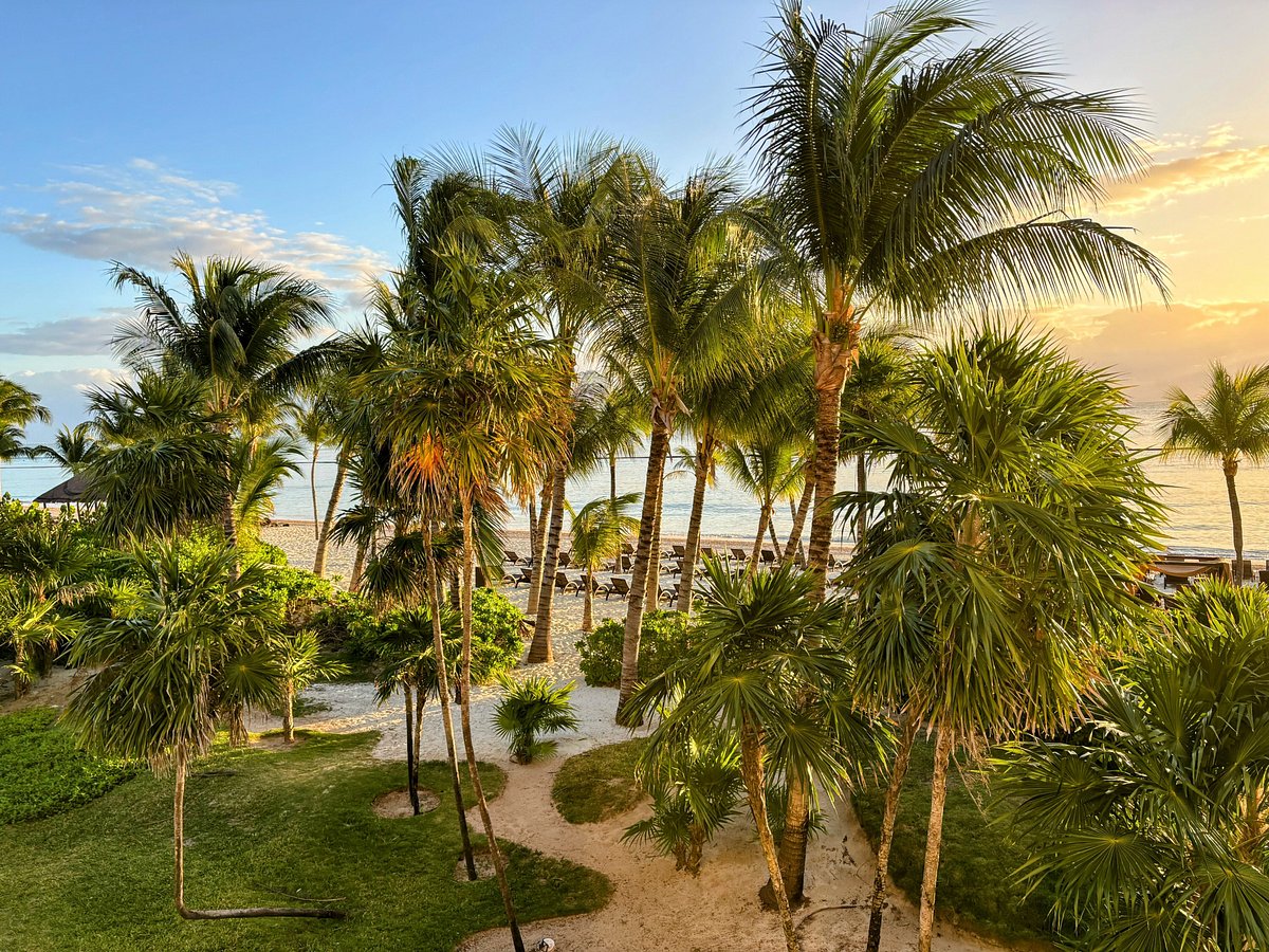 Palm-lined resort garden opening onto the beach at golden hour